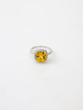 Style #SK00101